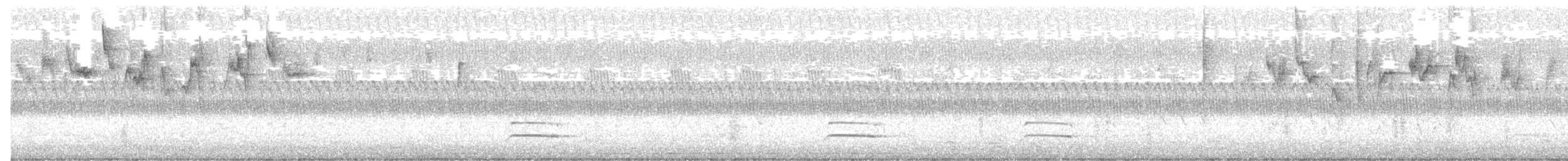 Black-and-white Warbler - ML646714110