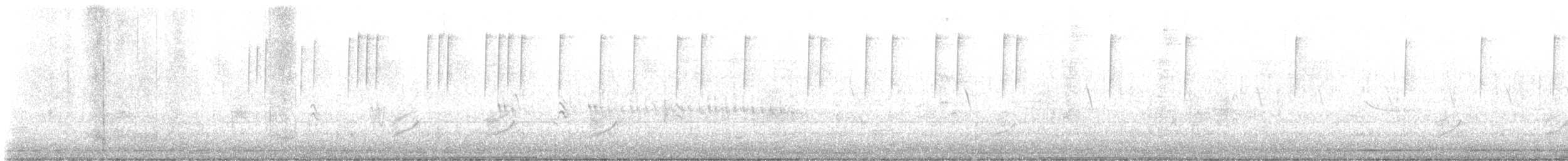 kalypta kalifornská - ML646714193