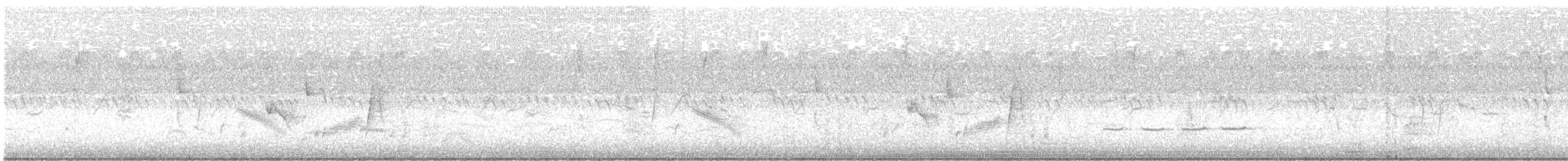 White-eyed Vireo - ML646714216