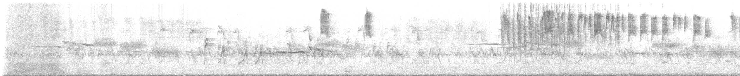 kalypta kalifornská - ML646714533