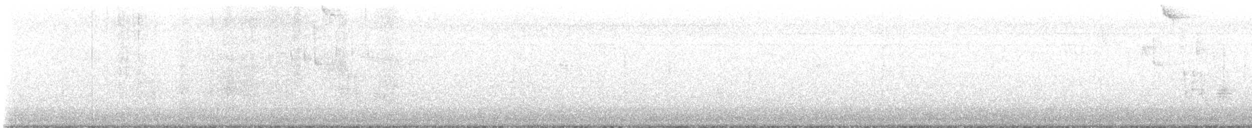 králíček americký - ML646714614