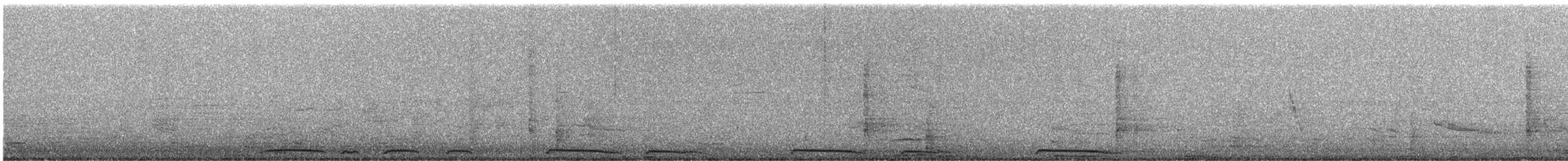 White-winged Dove - ML646714835