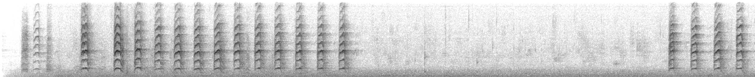 datel gilský - ML646714864