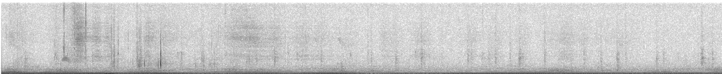 Cassin's Kingbird - ML646714881