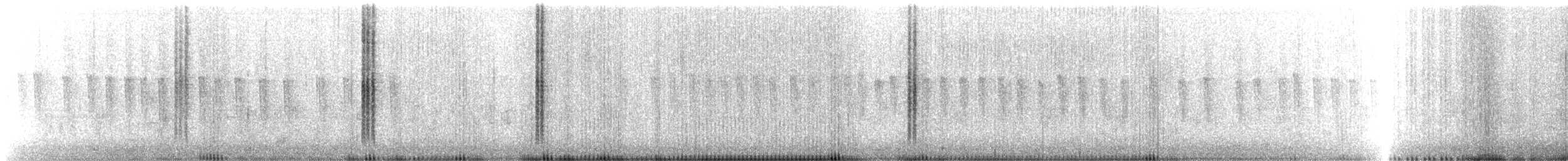 Broad-billed Hummingbird - ML646714948