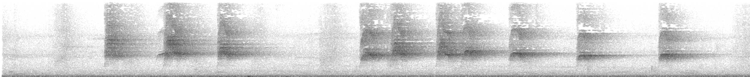 Southern Palawan Tree Squirrel - ML646715202