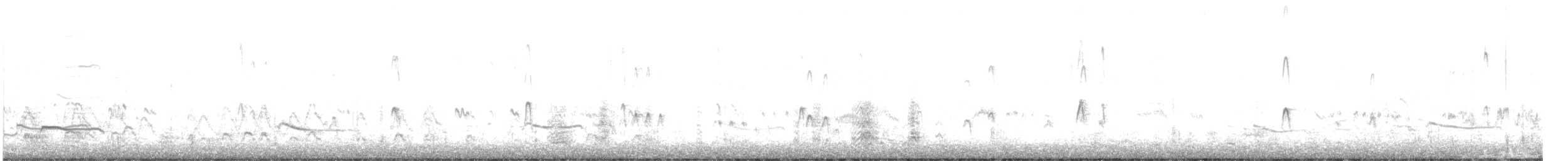 Black-bellied Plover - ML646715366