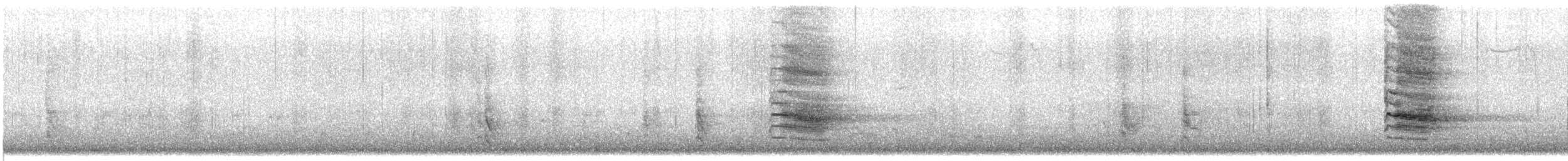 sojka chocholatá - ML646715755