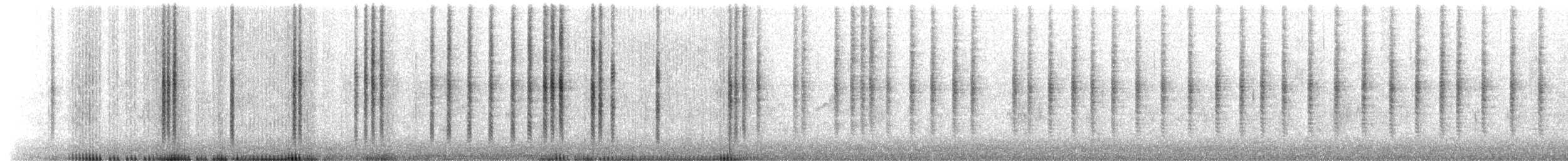 Breitschnabelkolibri - ML646715993