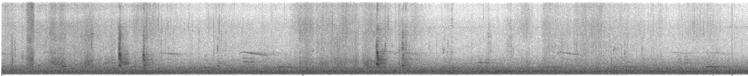 datel karolínský - ML646716126