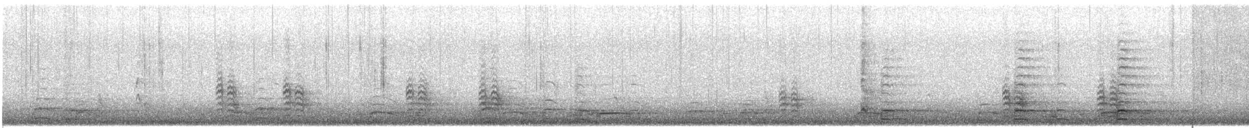 berneška velká - ML646716128