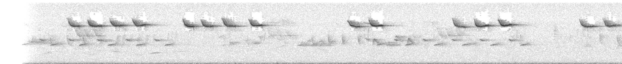 ירגזי מצוי - ML646716247