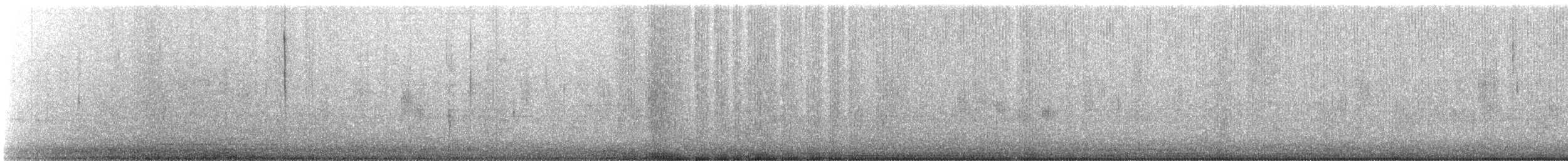 Hybride Colibri d'Anna x C. de Costa - ML646716472