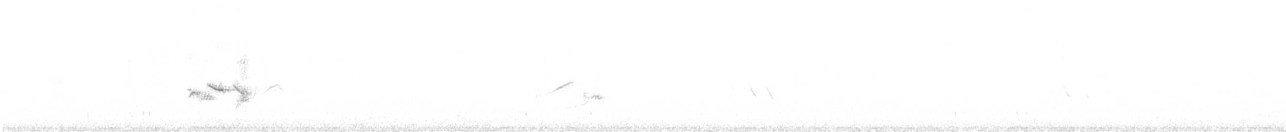 konglebit - ML646716654