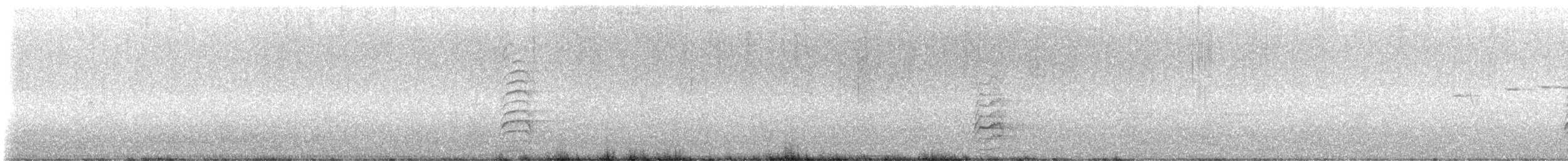 Gray Currawong (Clinking) - ML646717223