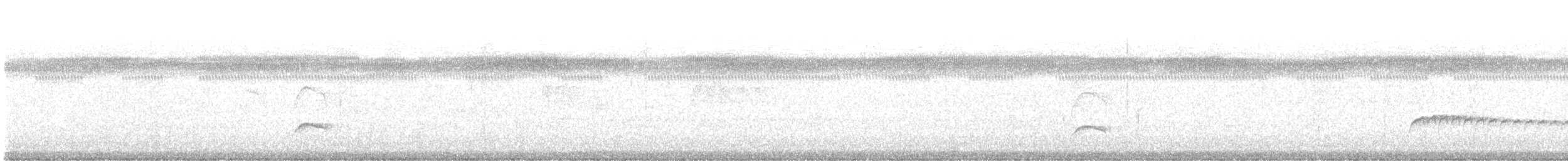 Salvadoran Flycatcher - ML646717230