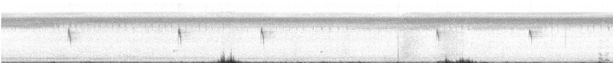 Ash-throated Flycatcher - ML646717849