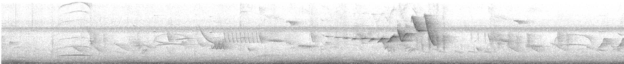 Swainson's Flycatcher - ML646718192