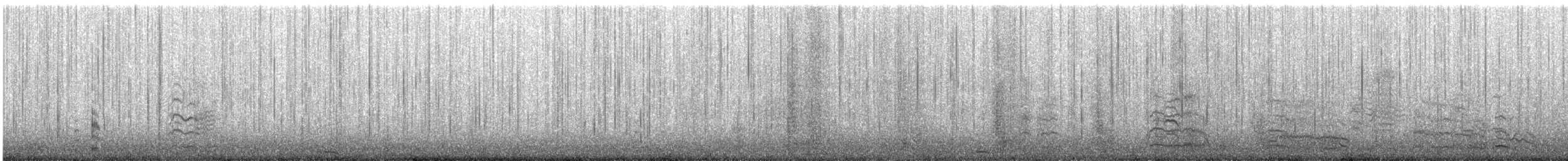 Ring-billed Gull - ML646719040