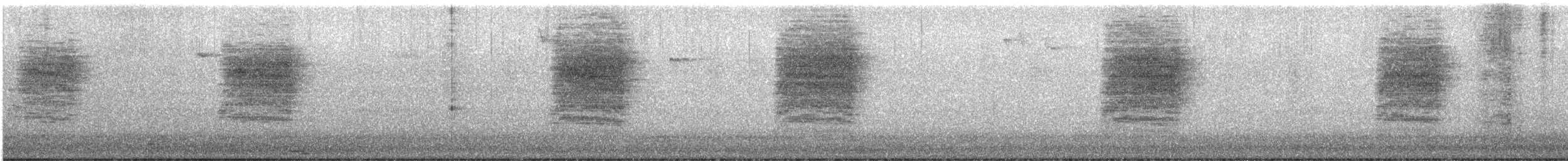 Bewick's Wren - ML646719053