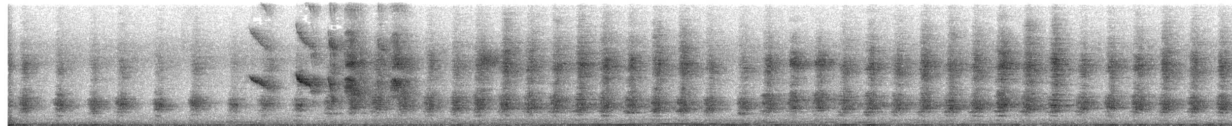 Ak Karınlı Çaçalaka - ML646719114