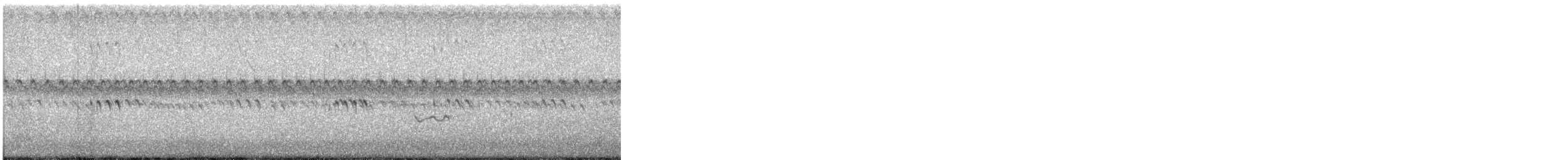 Pluvier bronzé - ML646719245