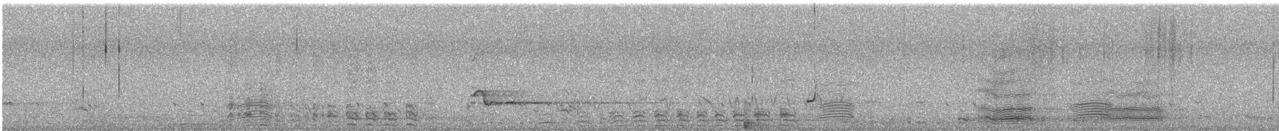 Australian Ringneck - ML646719527