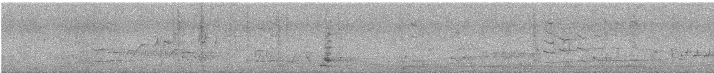 Sarı Prenses Papağanı - ML646719666