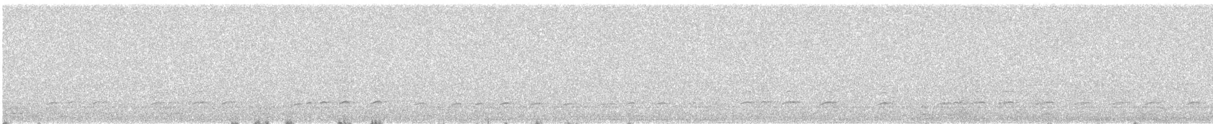 Peruvian Thick-knee - ML646719697