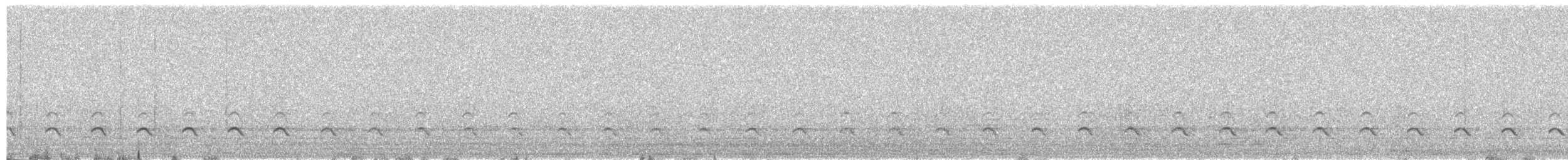 Peruvian Thick-knee - ML646719699