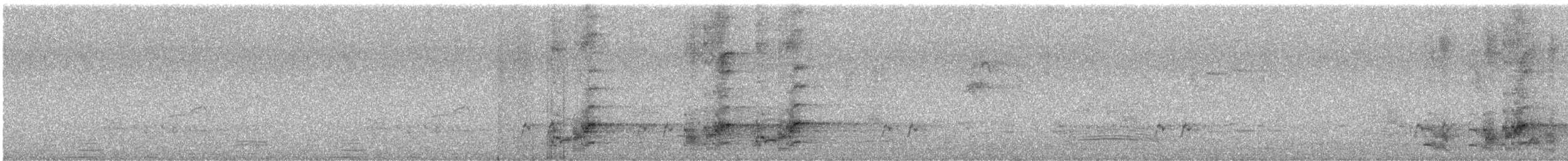 Regent Parrot - ML646719707