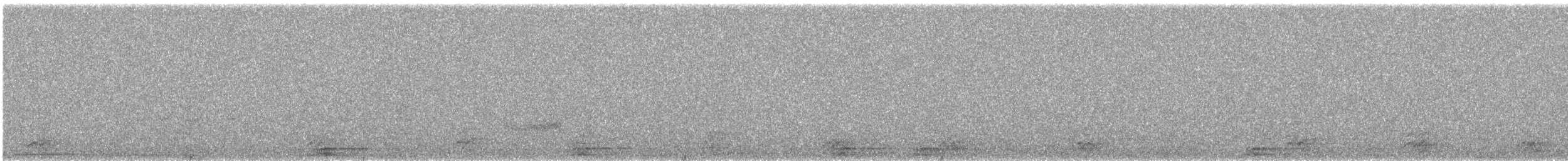 American Barn Owl - ML646719740