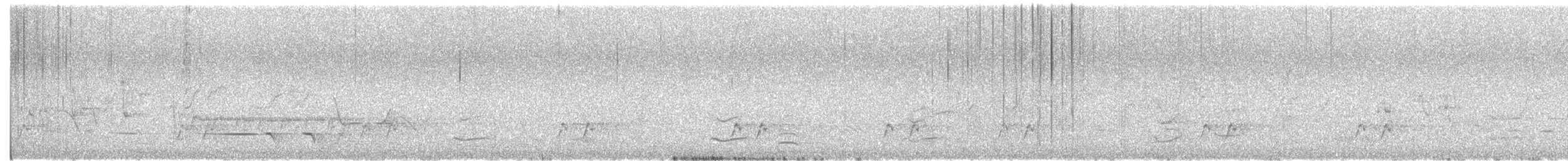 hvittøyleplystrer - ML646720090