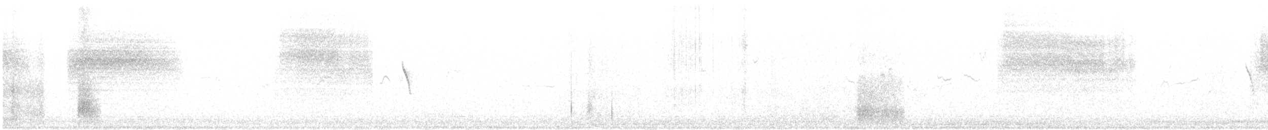 Black-tailed Gnatcatcher - ML646720147