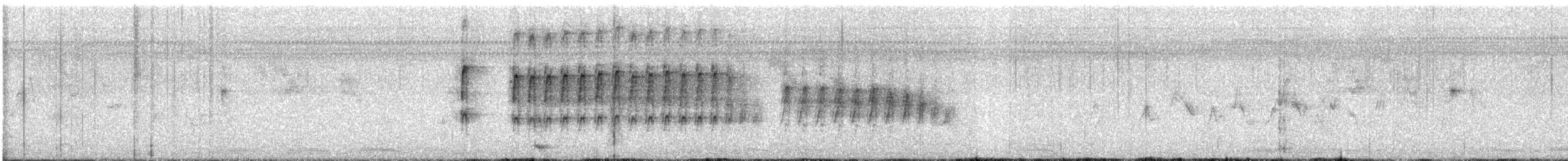 Ladder-backed Woodpecker - ML646720155