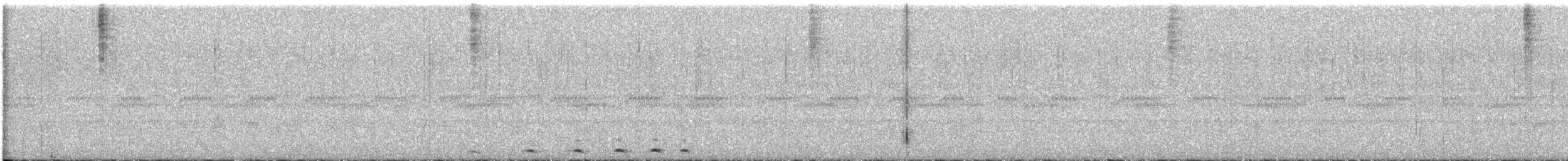 Western Screech-Owl - ML646720299