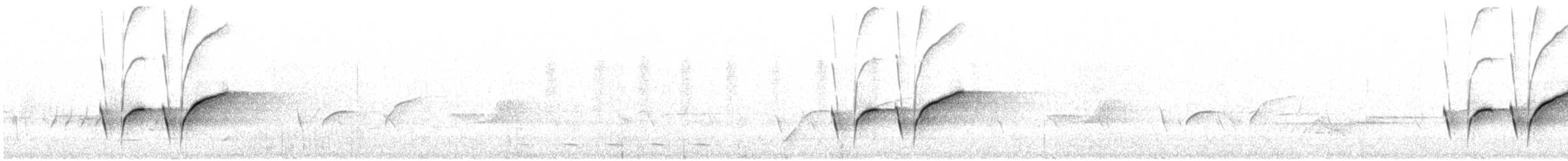 Petroica Matorralera Sureña - ML646720638