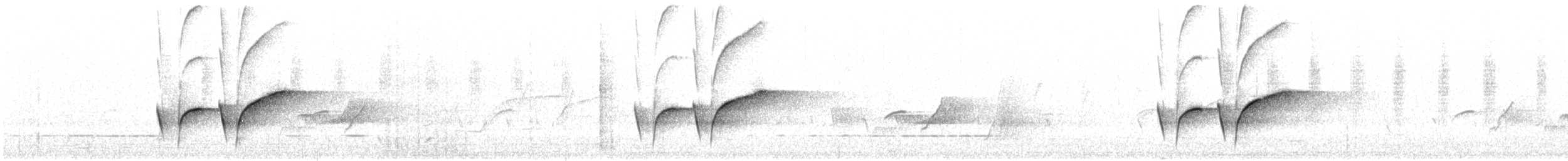 Petroica Matorralera Sureña - ML646720640