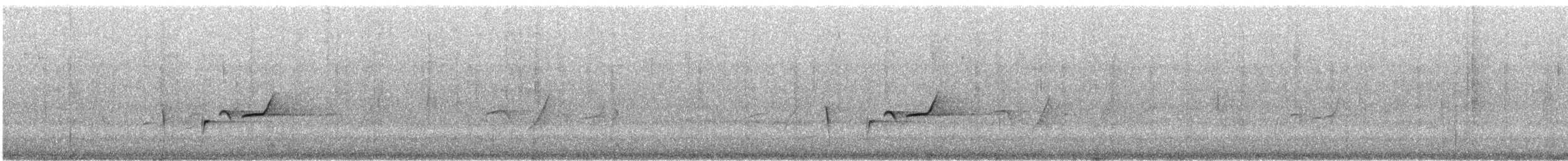 Petroica Matorralera Sureña - ML646720641