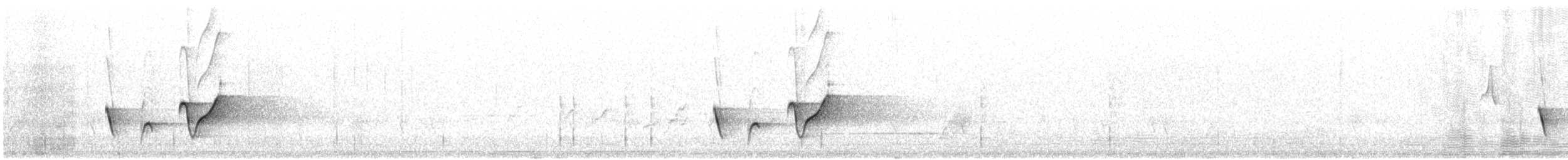 Petroica Matorralera Sureña - ML646720642
