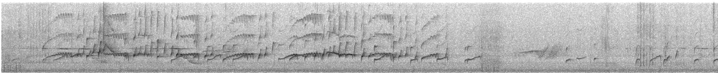 Petroica Pechigrís - ML646720653