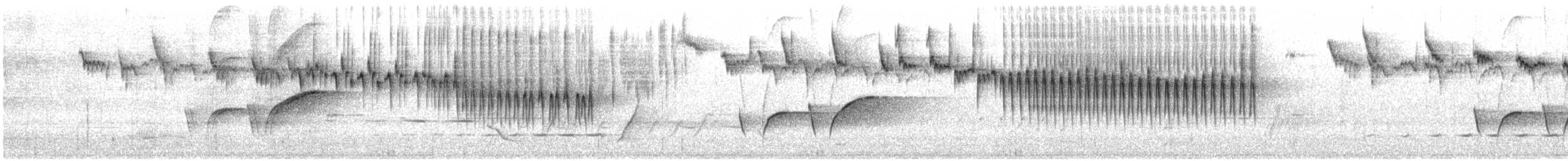Maluro Pechiazul - ML646720661