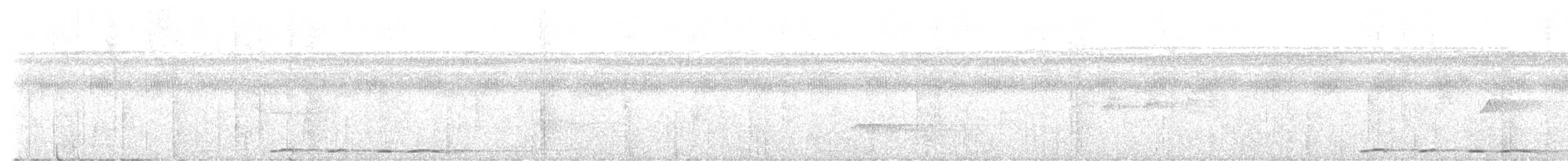 Short-billed Pigeon - ML646720680