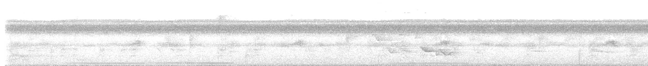 White-tipped Dove - ML646720695