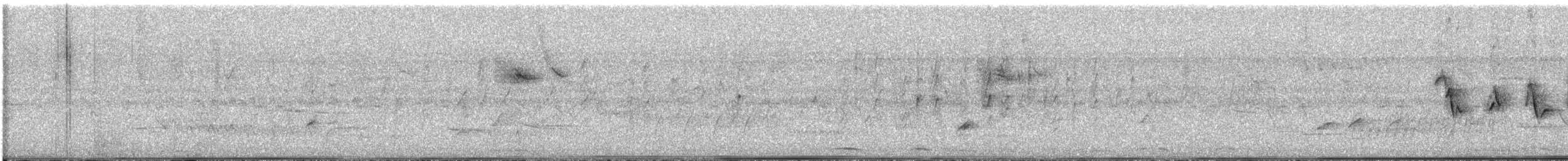 Azulillo Morado - ML646720698