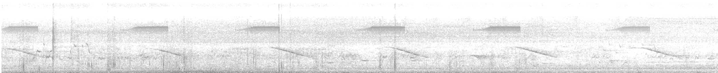 Cuclillo de Horsfield - ML646721059