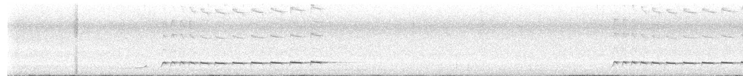 Cuco Pálido - ML646721116