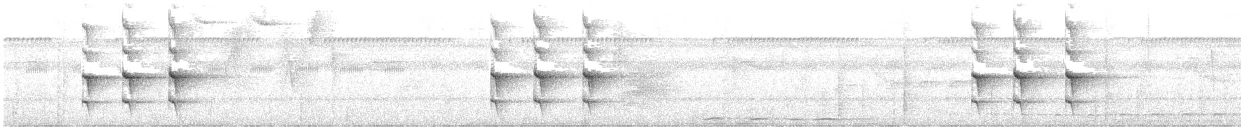 Western Woodhaunter - ML646721256