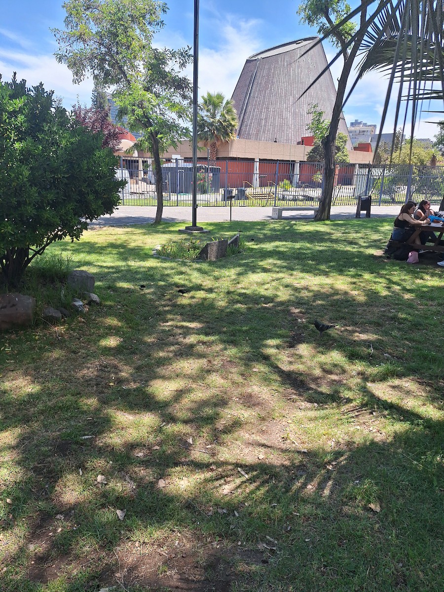 Вашер синій - ML646721265