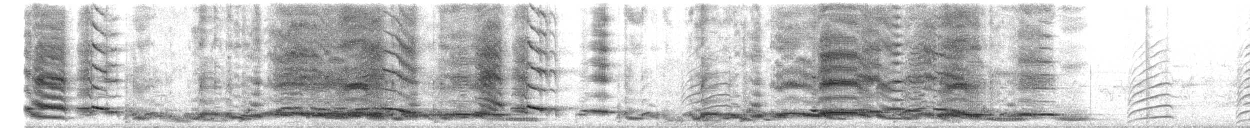 Australian Magpie - ML646721354